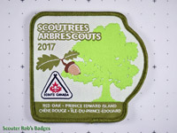 Click to enlarge 2017 Scoutrees